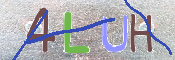 CAPTCHA (Şahıs Denetim Kodu) Resmi