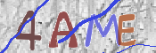 CAPTCHA (Şahıs Denetim Kodu) Resmi