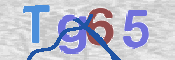 CAPTCHA (Şahıs Denetim Kodu) Resmi