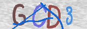 CAPTCHA (Şahıs Denetim Kodu) Resmi