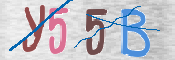 CAPTCHA (Şahıs Denetim Kodu) Resmi