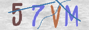 CAPTCHA (Şahıs Denetim Kodu) Resmi