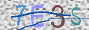 CAPTCHA (Şahıs Denetim Kodu) Resmi