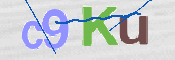 CAPTCHA (Şahıs Denetim Kodu) Resmi
