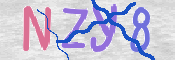 CAPTCHA (Şahıs Denetim Kodu) Resmi